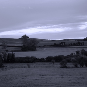 Paysage de prairies limitées par des haies d'arbustes  - travail sur les couleurs - France  - collection de photos clin d'oeil, catégorie paysages